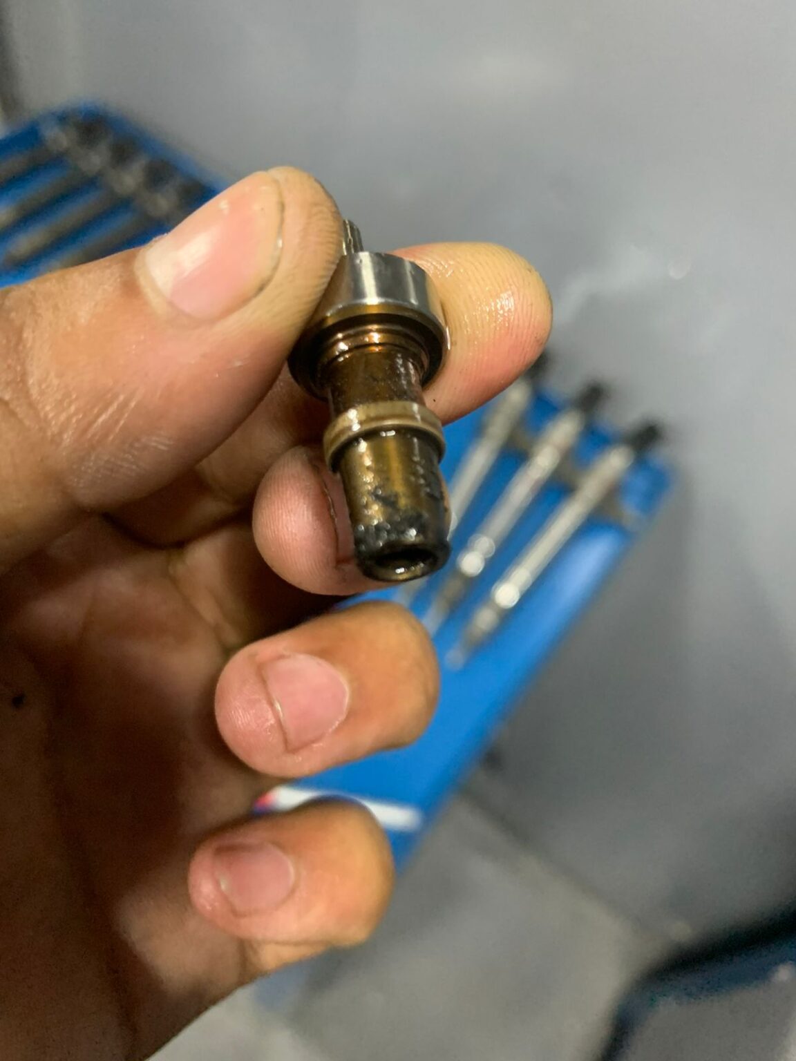 WhatsApp Image 2023-06-24 at 11.30.24